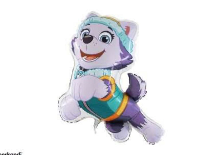 Pawpatrol balloon- Everest