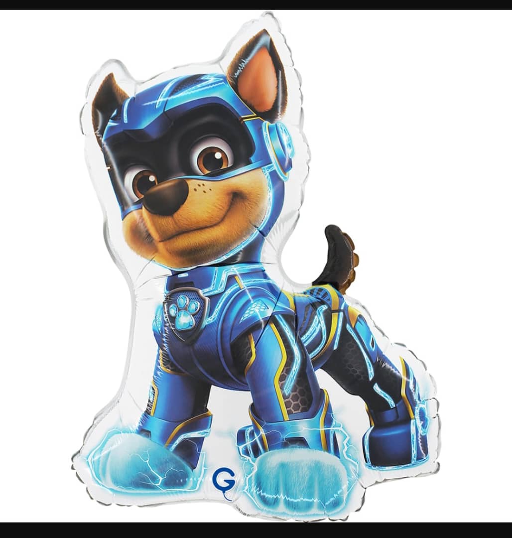 Pawpatrol mighty pups chase balloon